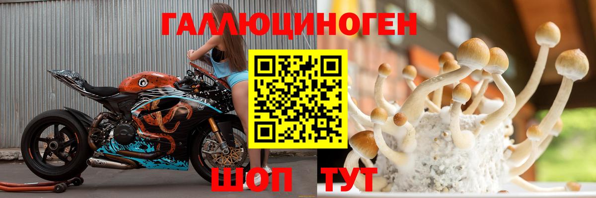 Псилоцибиновые грибы MAGIC MUSHROOMS Коряжма